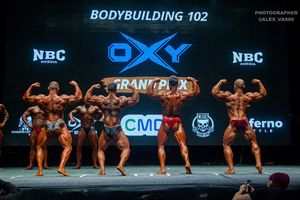 BODYBUILDING 102